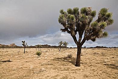 《漫威蜘蛛侠：迈尔斯》Steam好评如潮 但在线峰值并不理想