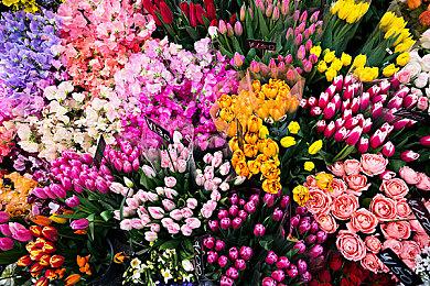 《天国：拯救2》PC版不会使用Denuvo防篡改技术